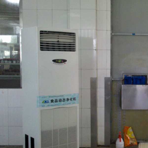 宁河食品智能空气杀菌器